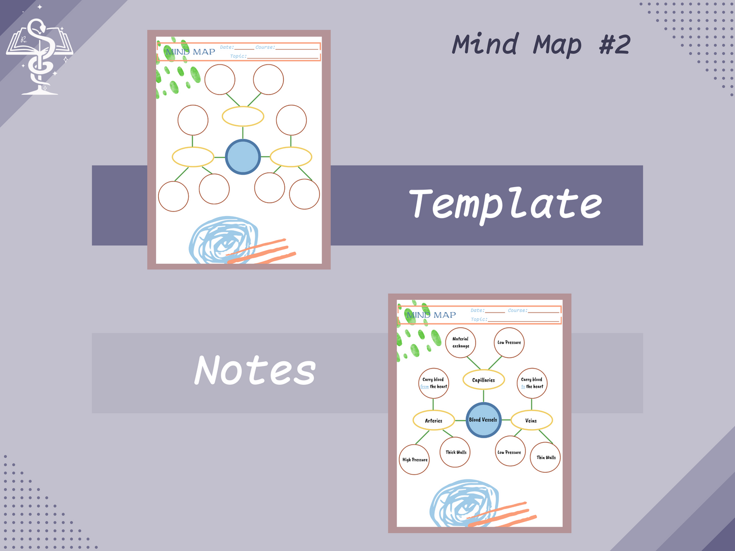 Concept Map | Mind Map | Notes Template | Pharmacy Study Guide | Digital Download