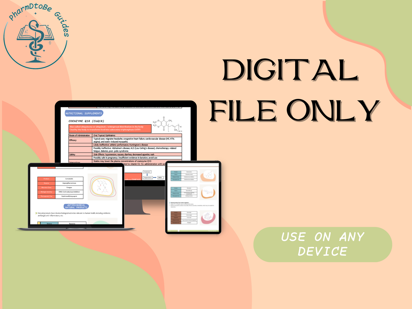 Natural Products Study Guide | Pharmacognosy | PharmD and PhD Study Guide | Digital Download