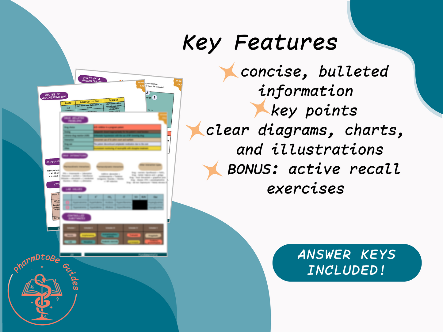 Pharmacy Fundamentals Mastery Bundle | Complete Pharmacy Study Guide | Digital Download