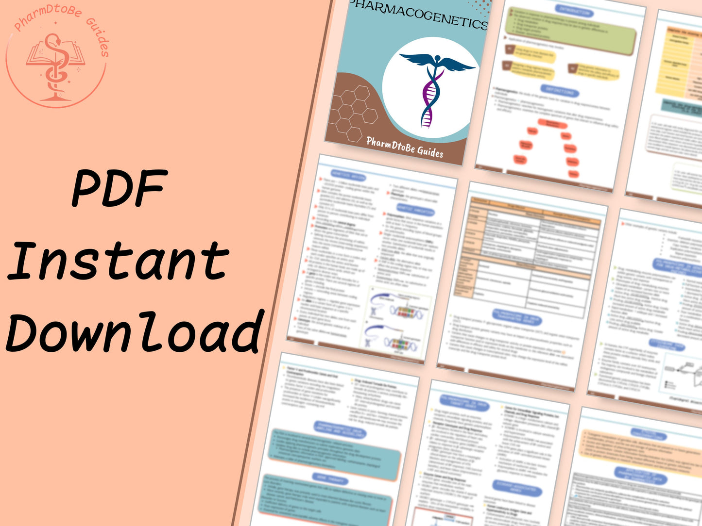 Pharmacogenetics Study Guide: A Pharmacy Student's Guide to Genomics and Personalized Medicine | Digital Download