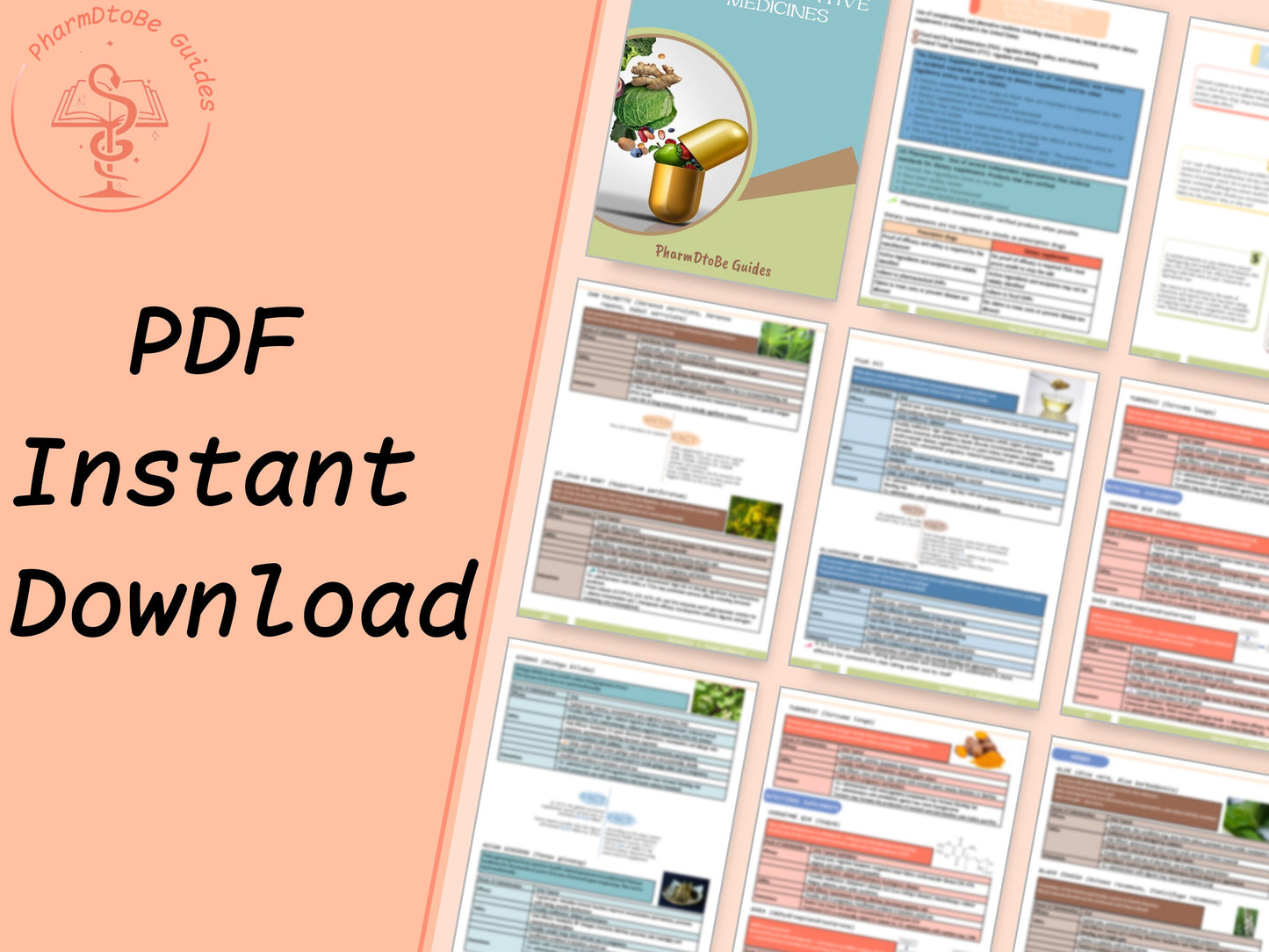 Complementary & Alternative Medicine Study Guide | Pharmacy Study Guide | Digital Download