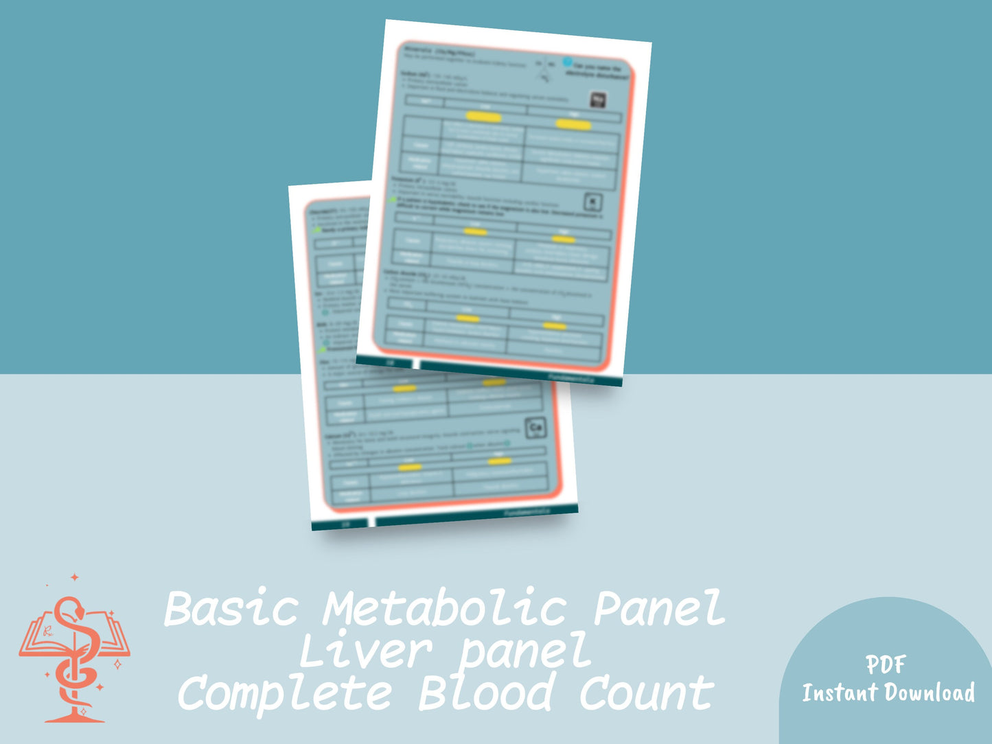 Laboratory Testing Study Guide | Pharmacy Study Guide | Digital Download