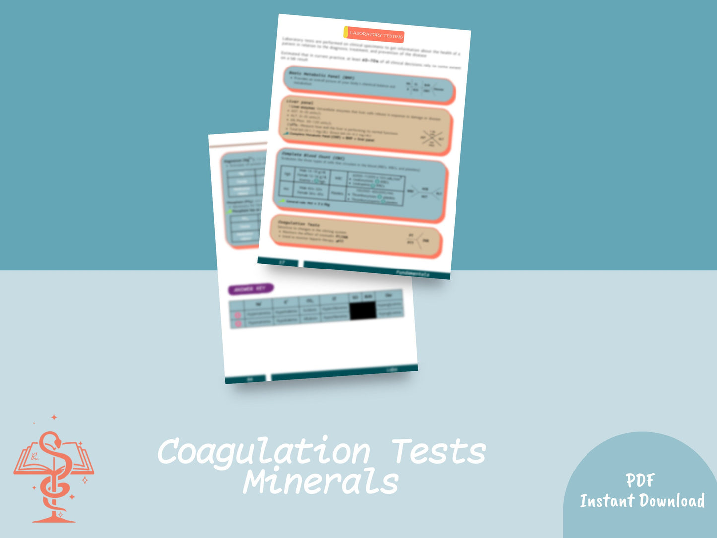 Laboratory Testing Study Guide | Pharmacy Study Guide | Digital Download