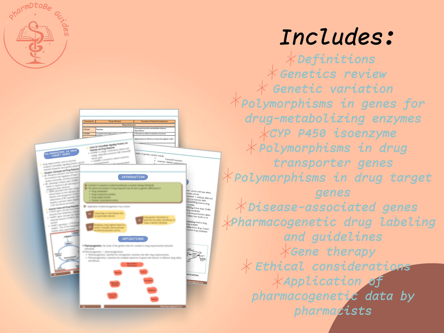 Pharmacogenetics Study Guide: A Pharmacy Student's Guide to Genomics and Personalized Medicine | Digital Download