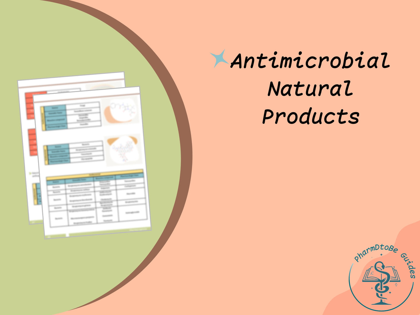 Natural Products Study Guide | Pharmacognosy | PharmD and PhD Study Guide | Digital Download