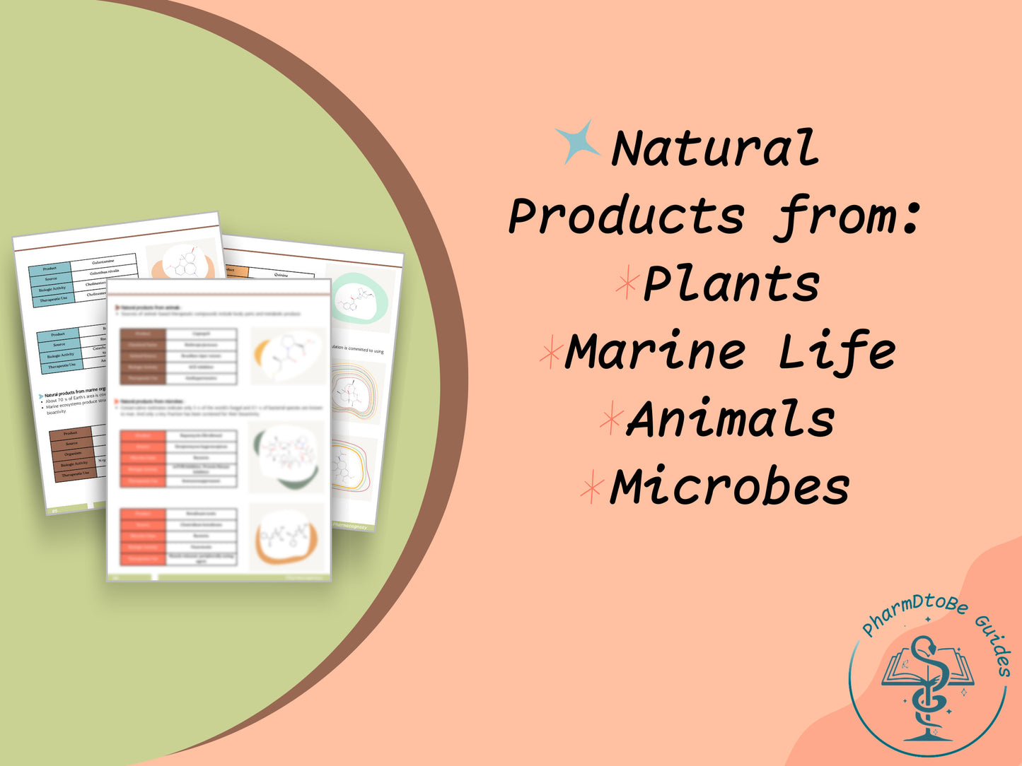 Natural Products Study Guide | Pharmacognosy | PharmD and PhD Study Guide | Digital Download