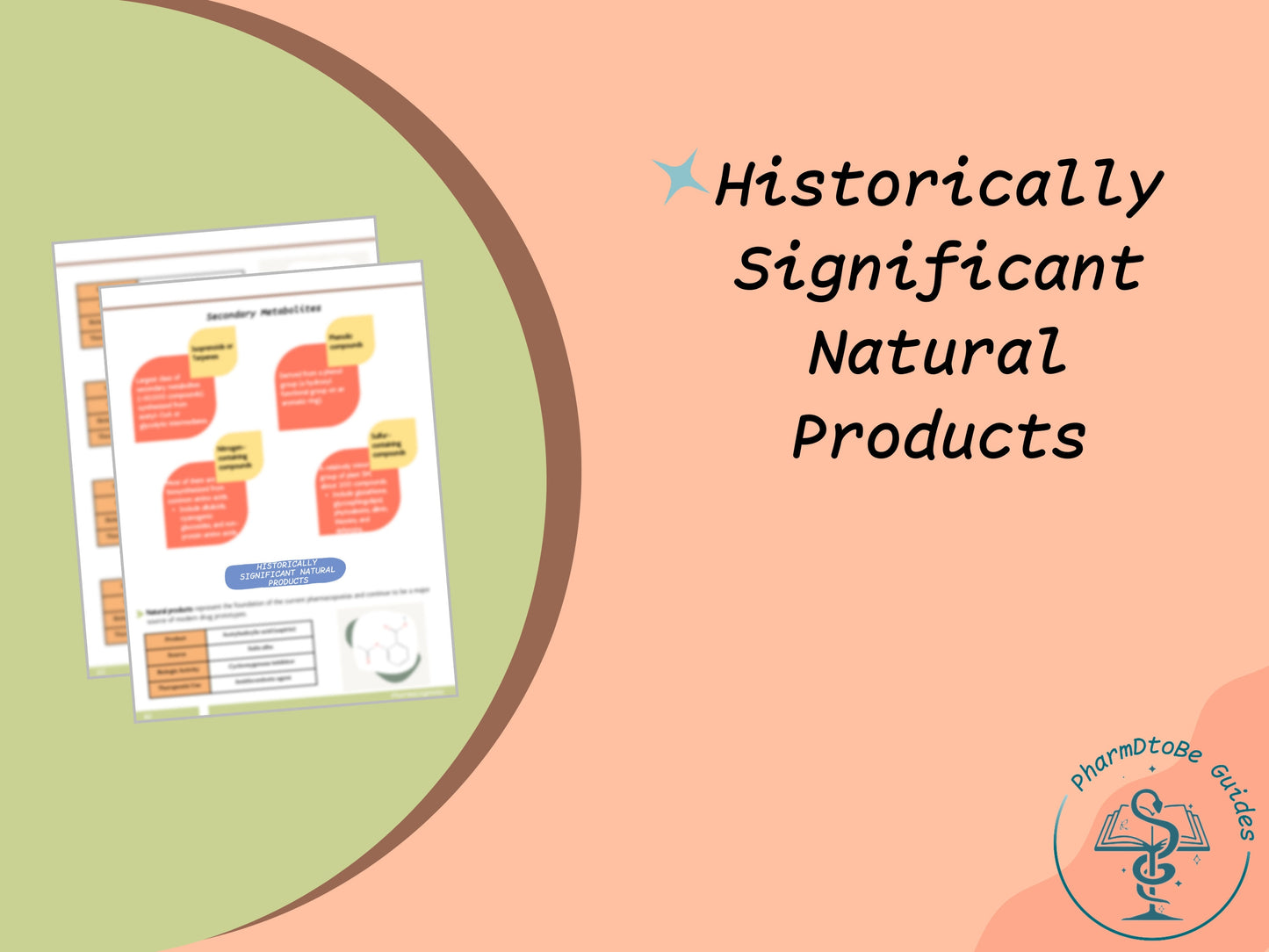 Natural Products Study Guide | Pharmacognosy | PharmD and PhD Study Guide | Digital Download