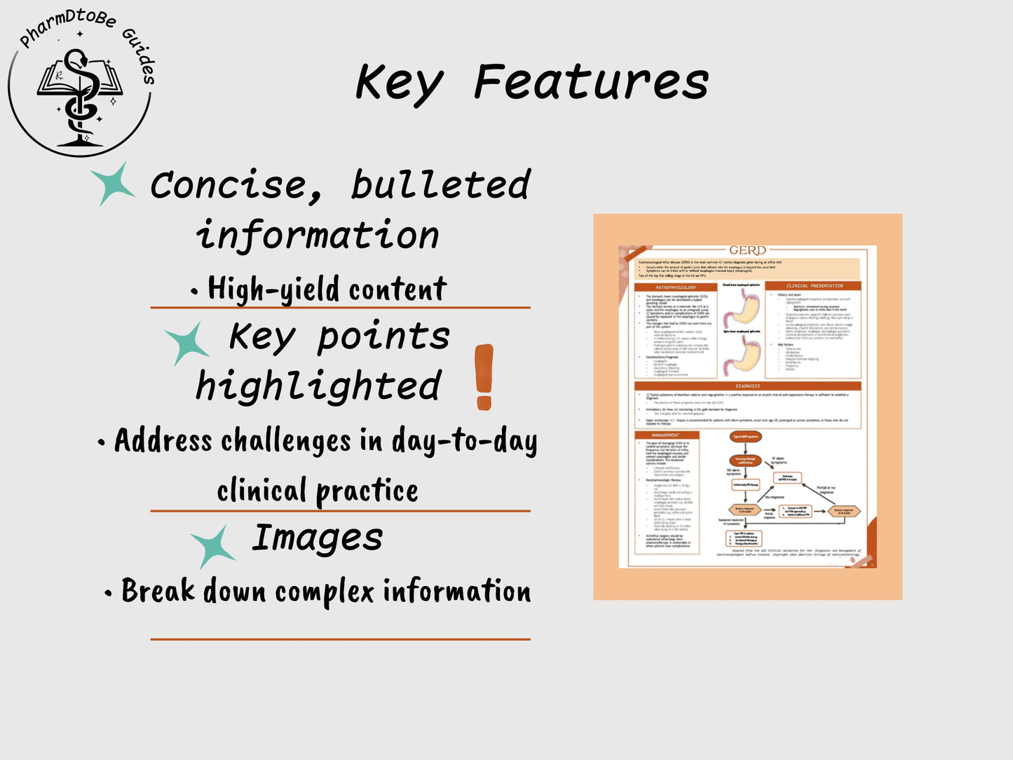 GERD Study Guide | Gastrointestinal | Pharmacy Study Guide | Digital Download