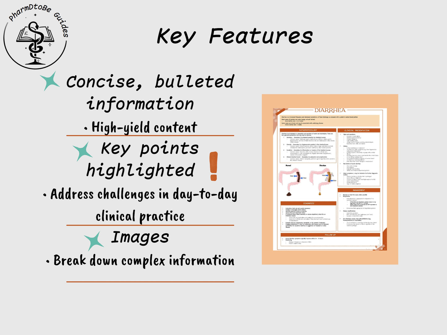 Diarrhea Study Guide | GI | Pharmacy Study Guide | Digital Download