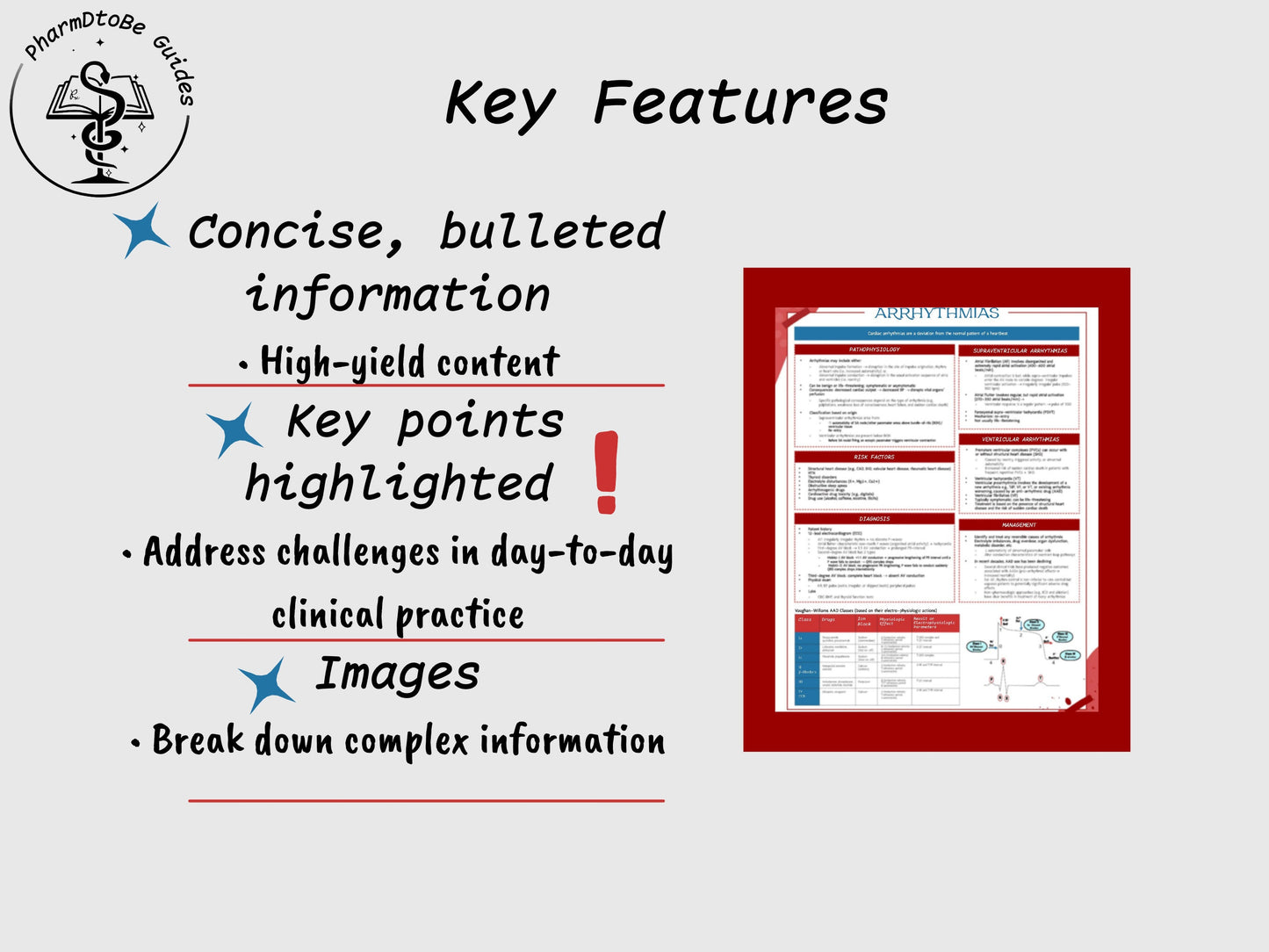 Arrhythmia Study Guide | Cardiology | Pharmacy Study Guide | Digital Download