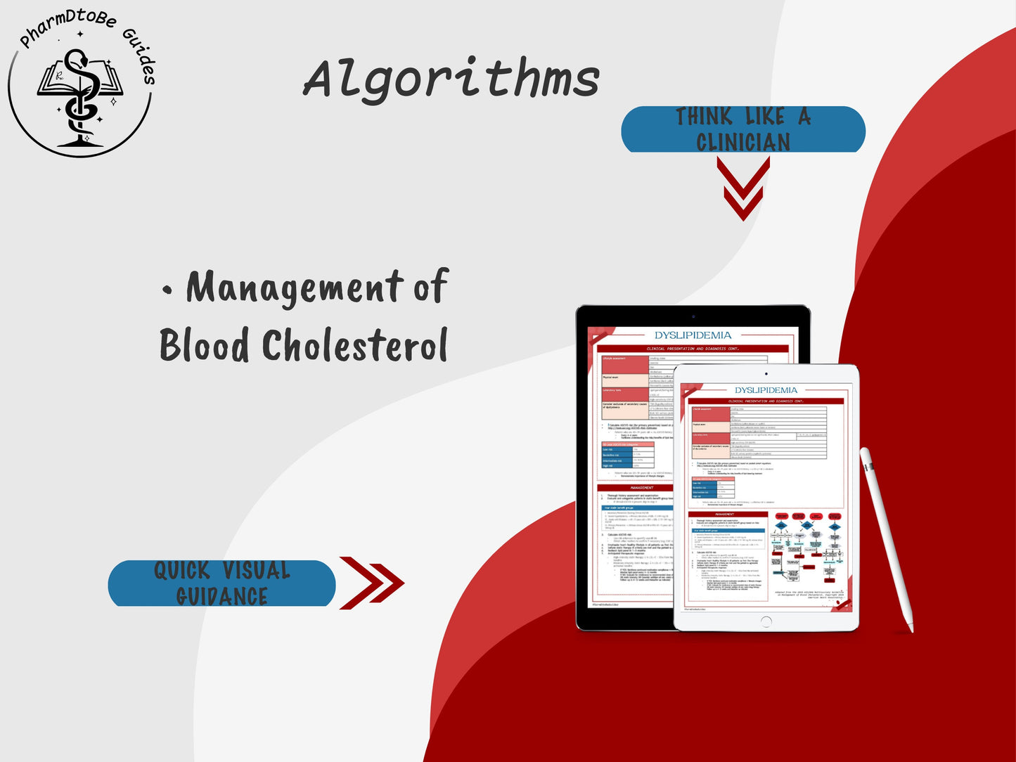 Lipid Study Guide | Cardiology | Pharmacy Study Guide | Digital Download