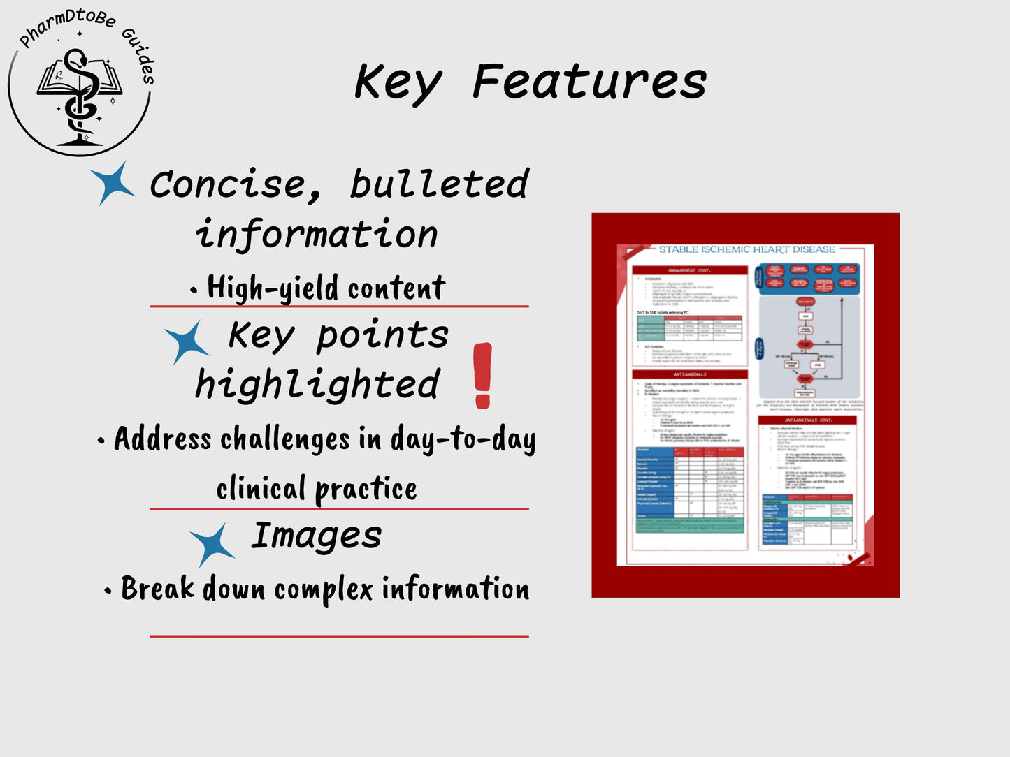 Ischemic Heart Disease Study Guide | Cardio | Pharmacy Study Guide | Digital Download