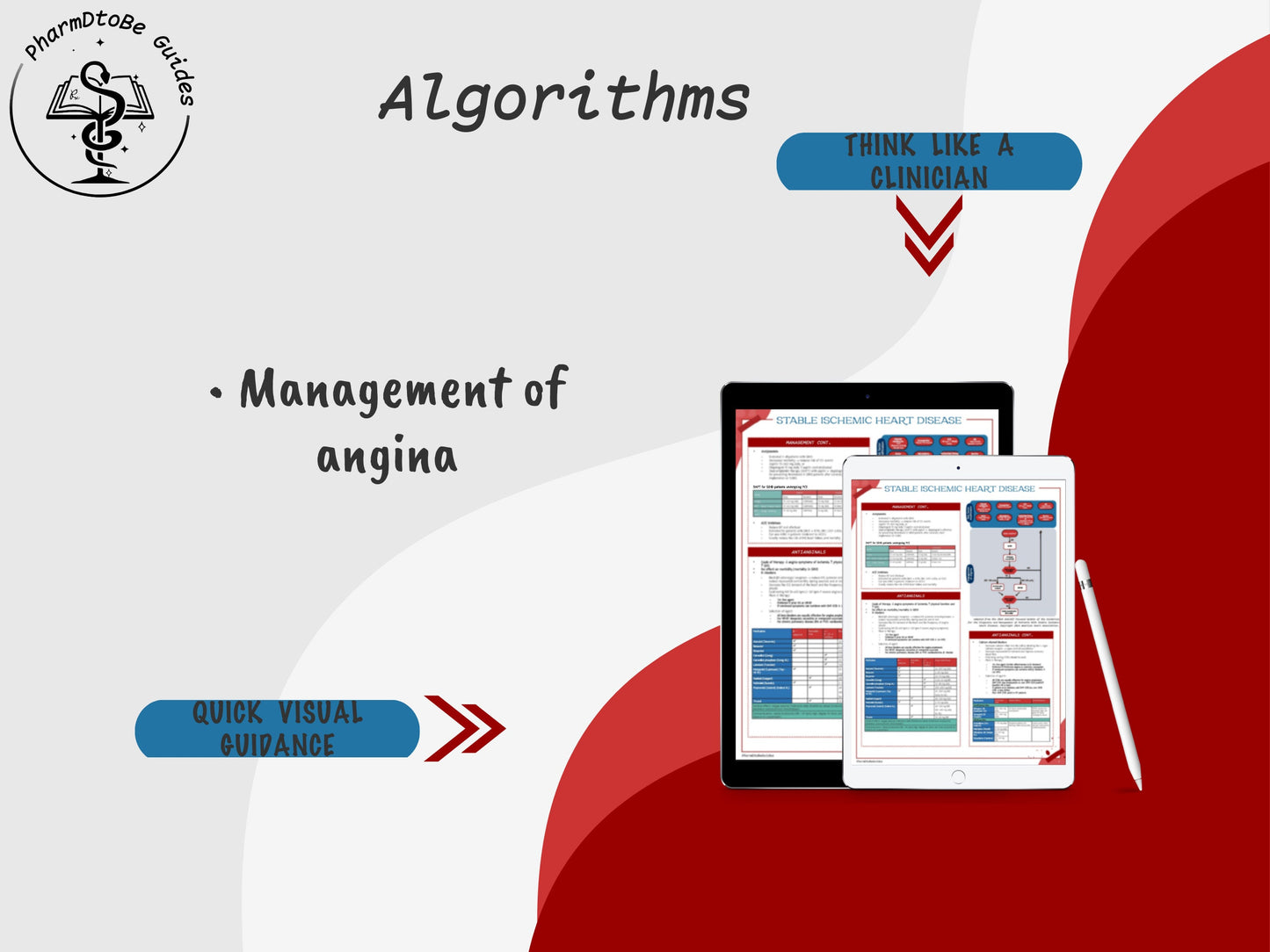 Ischemic Heart Disease Study Guide | Cardio | Pharmacy Study Guide | Digital Download