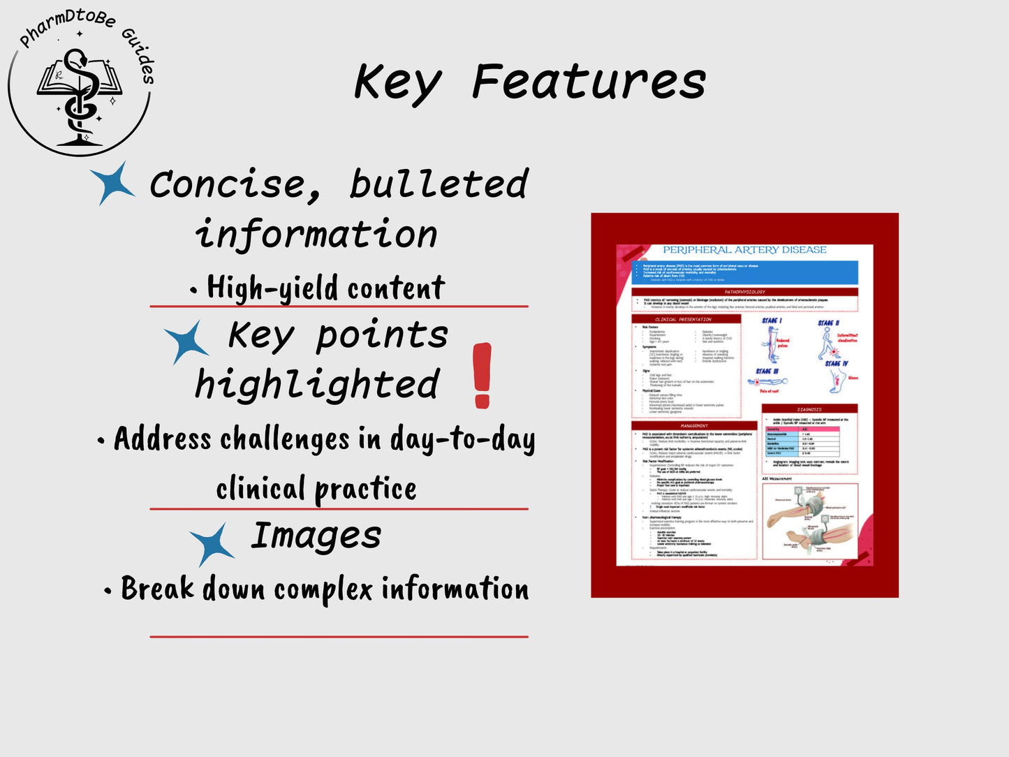 Peripheral Artery Disease Study Guide | Cardiology | Pharmacy Study Guide | Digital Download