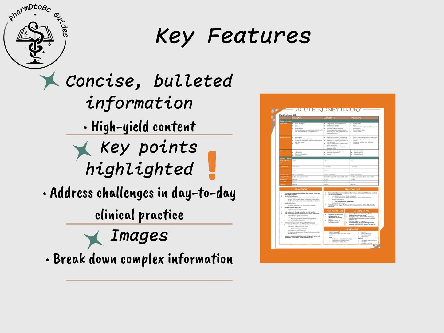 Acute Kidney Injury Study Guide | Renal | Pharmacy Study Guide | Digital Download