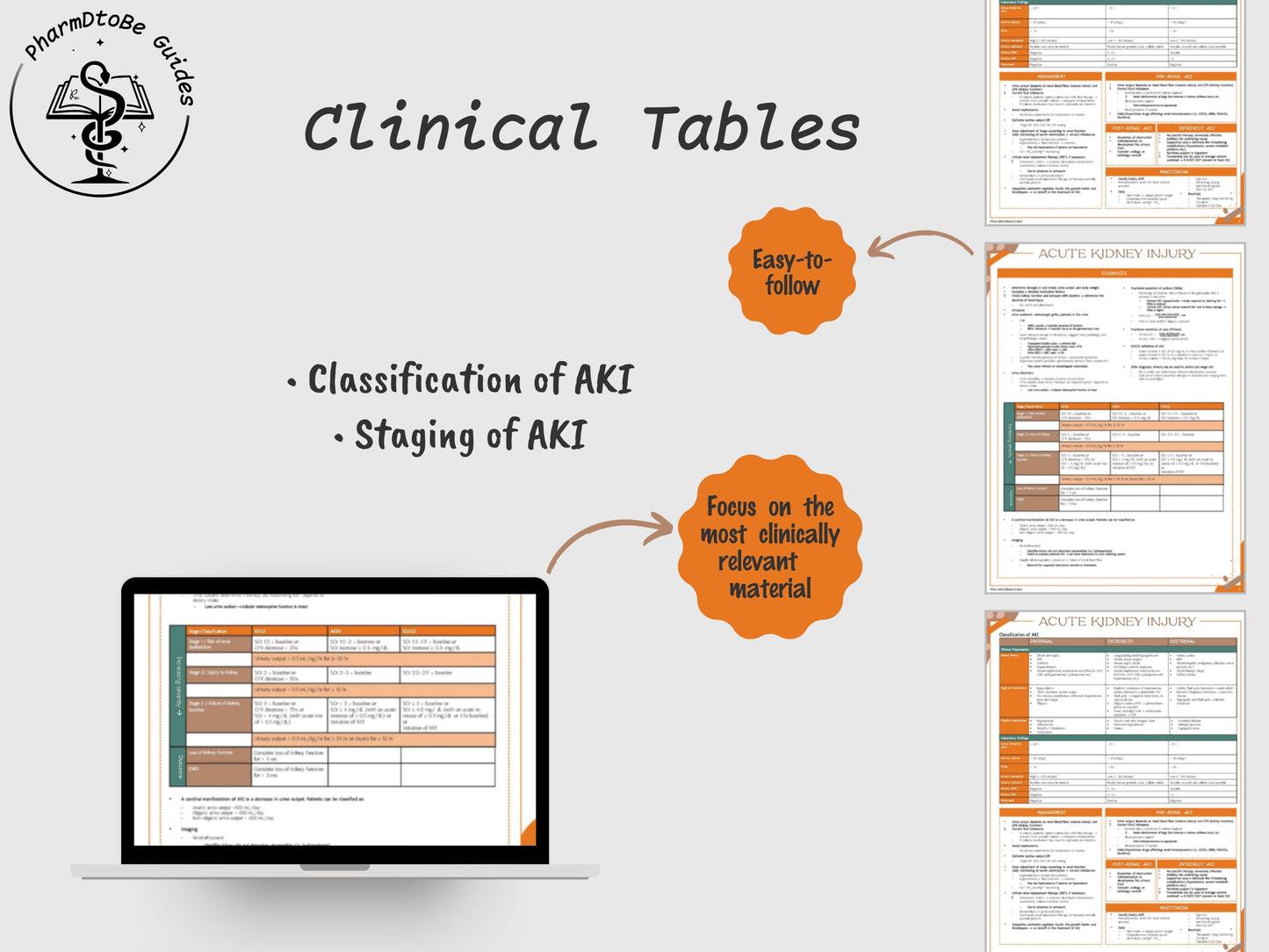 Acute Kidney Injury Study Guide | Renal | Pharmacy Study Guide | Digital Download