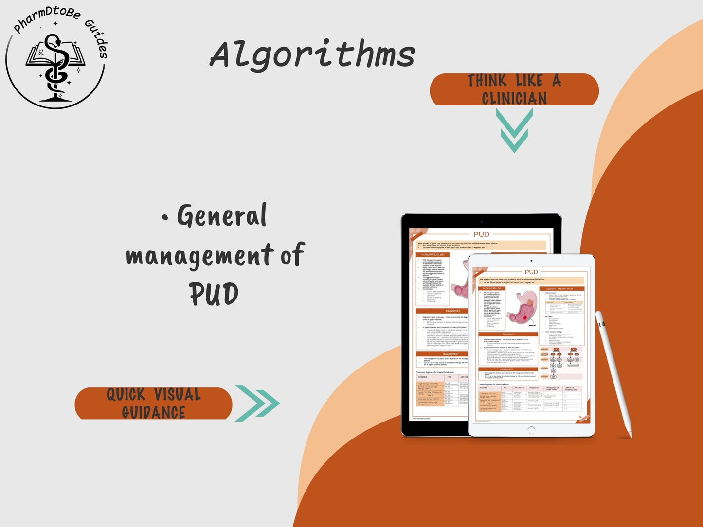 Peptic Ulcer Disease Study Guide | GI | Pharmacy Study Guide | Digital Download
