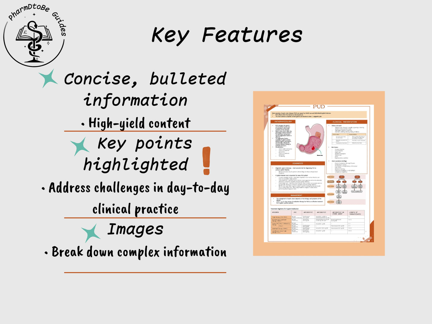Peptic Ulcer Disease Study Guide | GI | Pharmacy Study Guide | Digital Download