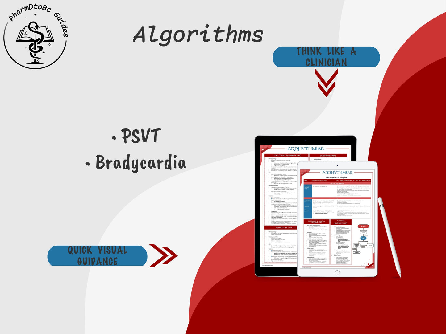 Arrhythmia Study Guide | Cardiology | Pharmacy Study Guide | Digital Download