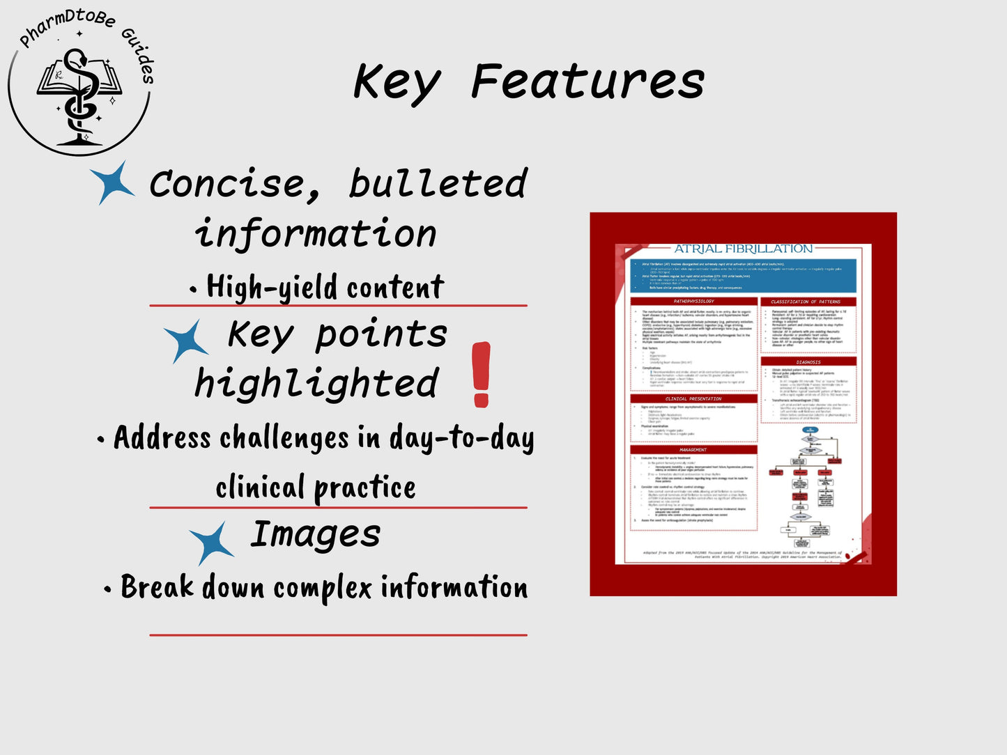 Atrial Fibrillation Study Guide | Cardiology | Pharmacy Study Guide | Digital Download