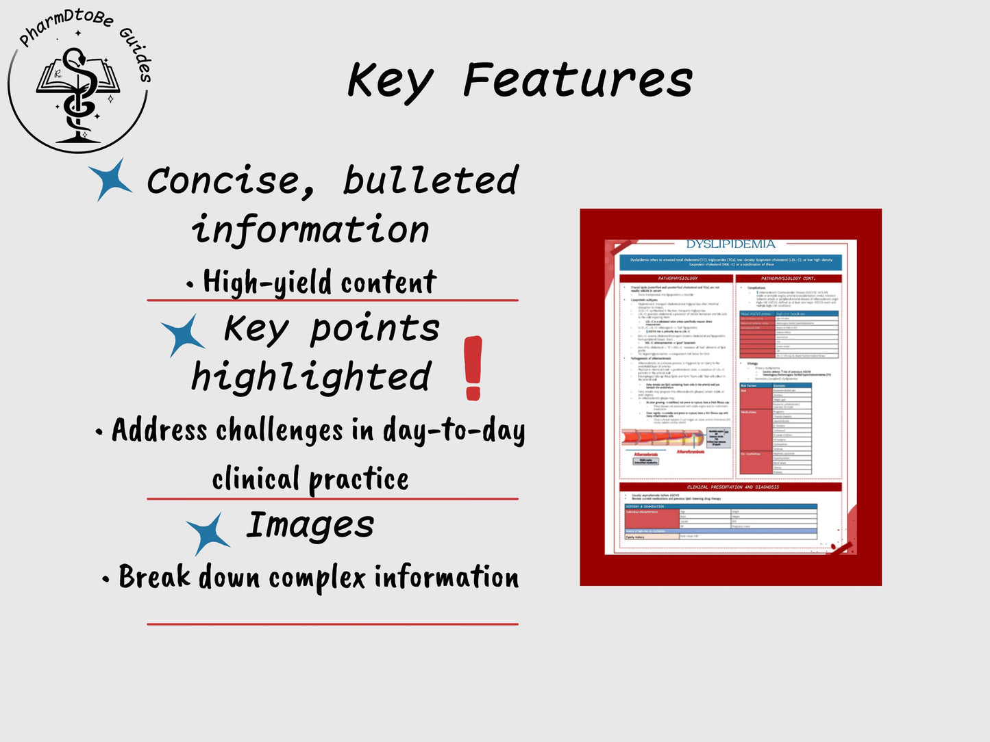 Lipid Study Guide | Cardiology | Pharmacy Study Guide | Digital Download