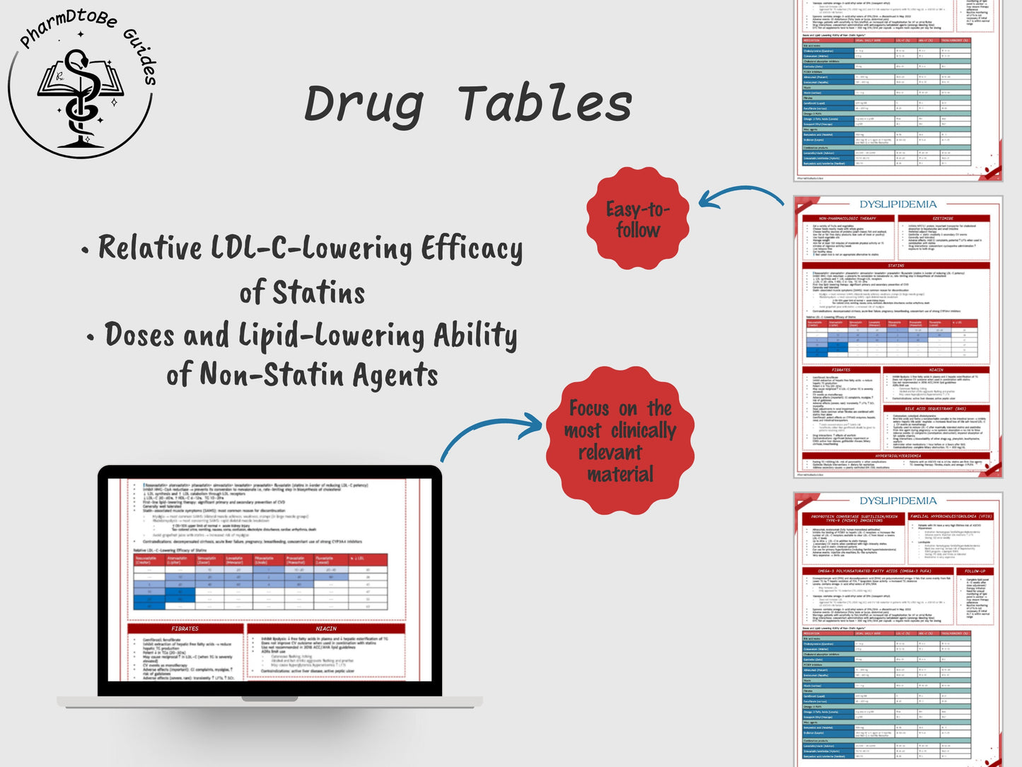 Lipid Study Guide | Cardiology | Pharmacy Study Guide | Digital Download