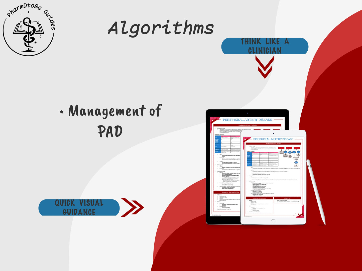 Peripheral Artery Disease Study Guide | Cardiology | Pharmacy Study Guide | Digital Download