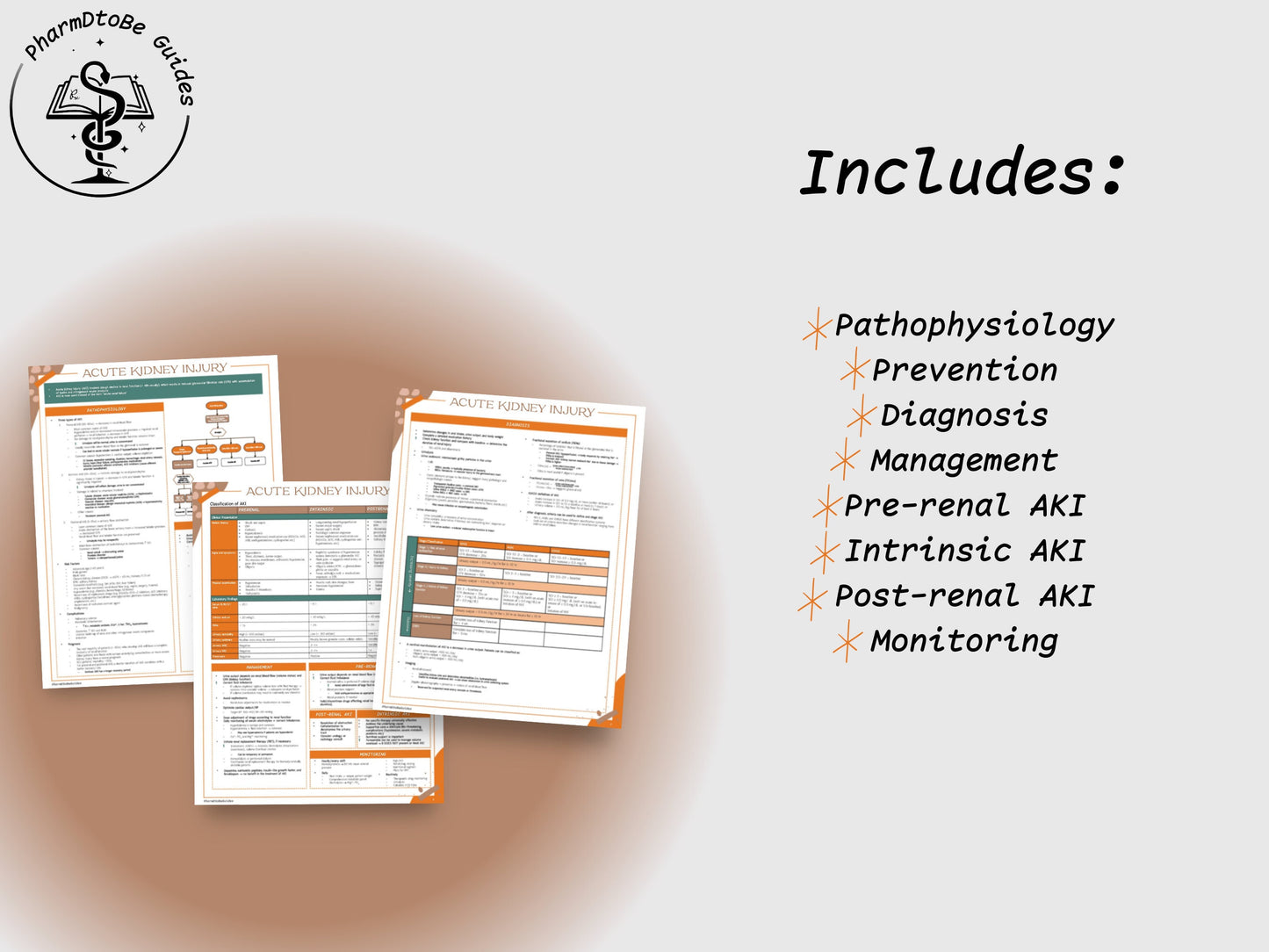 Acute Kidney Injury Study Guide | Renal | Pharmacy Study Guide | Digital Download