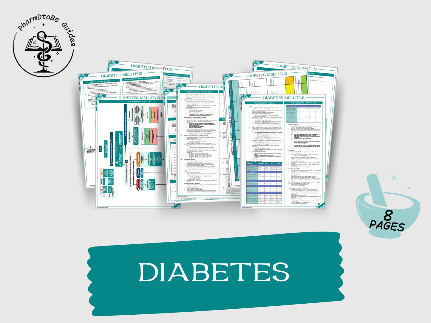 Endocrine Bundle | Endo |  Pharmacy Study Guide | Digital Download