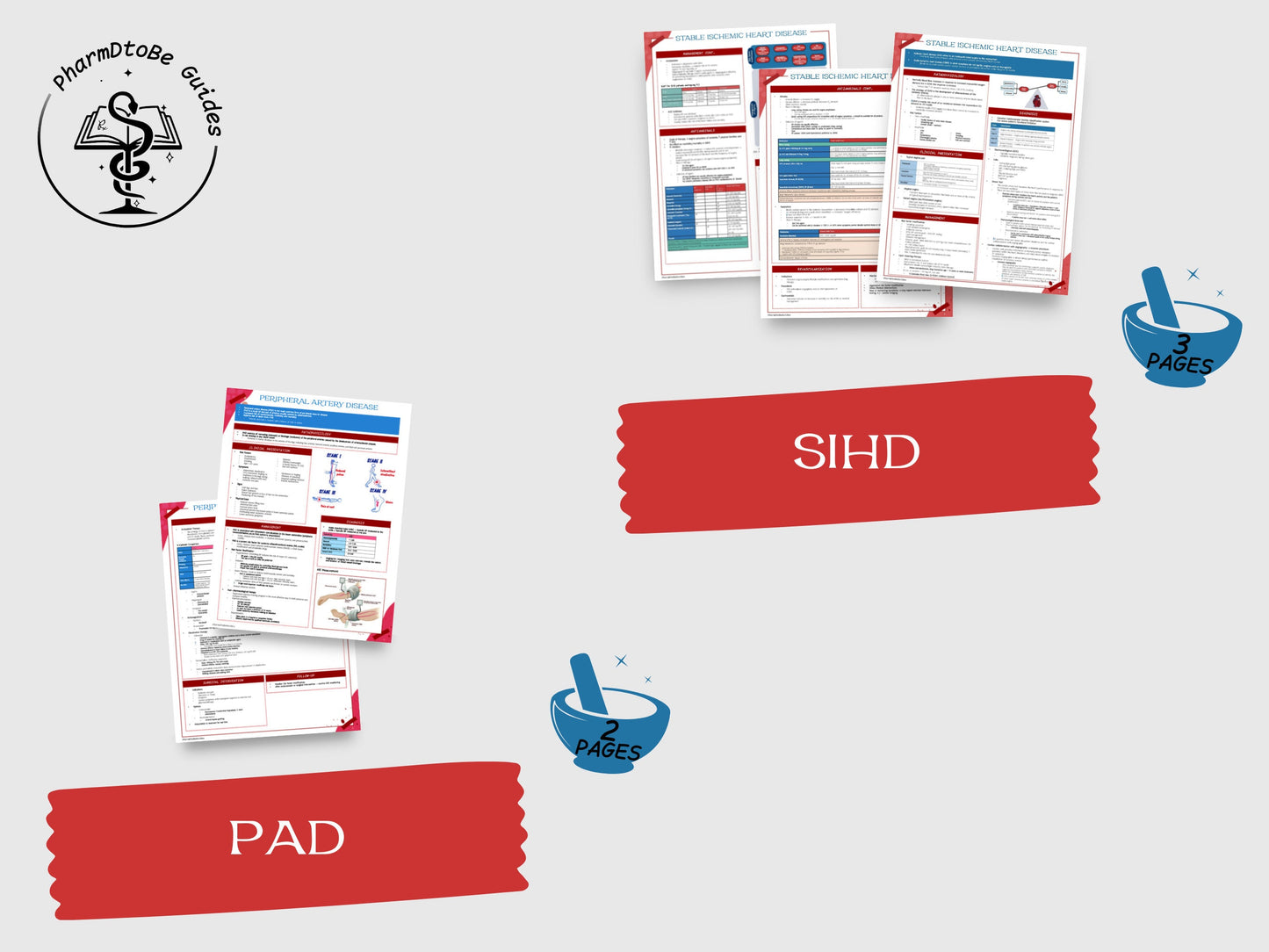 Cardiovascular Bundle | Cardio | Pharmacy Study Guide | Digital Download