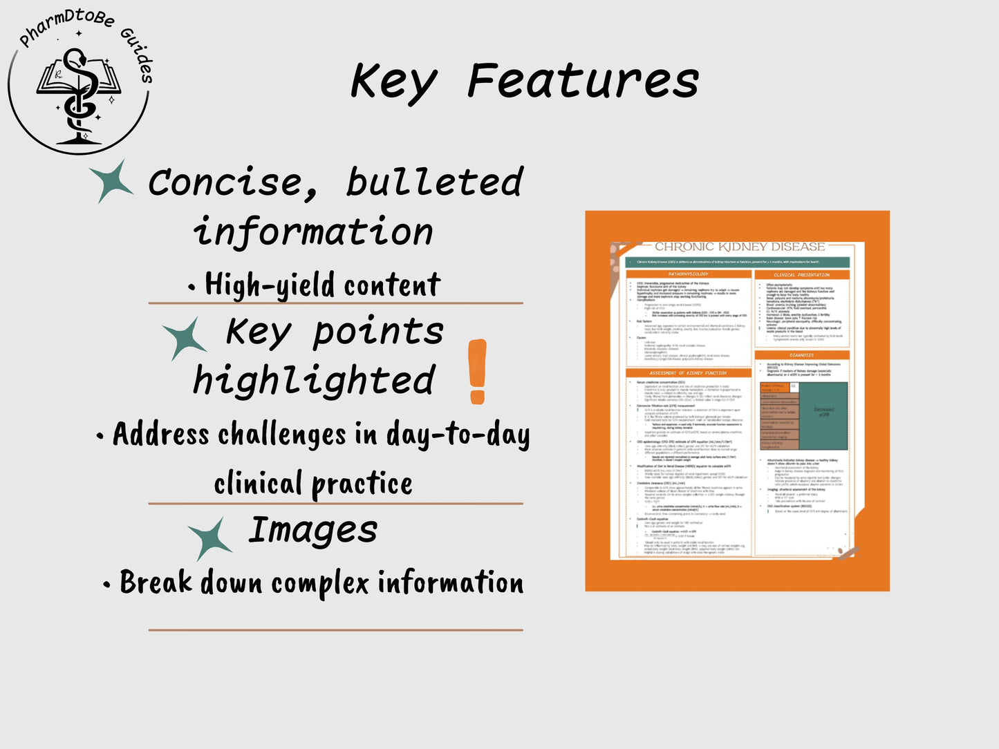 Chronic Kidney Disease (CKD) Study Guide | Renal | Pharmacy Study Guide | Digital Download