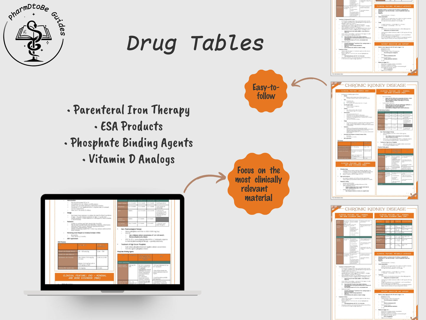 Chronic Kidney Disease (CKD) Study Guide | Renal | Pharmacy Study Guide | Digital Download