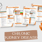 Renal Bundle | Nephrology | Pharmacy Study Guide | Digital Download