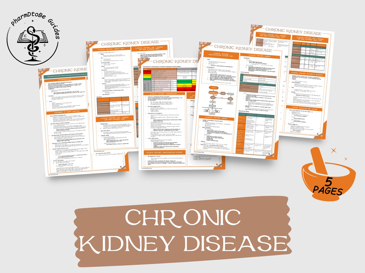 Renal Bundle | Nephrology | Pharmacy Study Guide | Digital Download