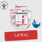 Lipid Study Guide | Cardiology | Pharmacy Study Guide | Digital Download