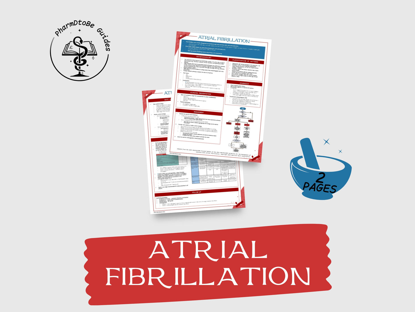 Atrial Fibrillation Study Guide | Cardiology | Pharmacy Study Guide | Digital Download