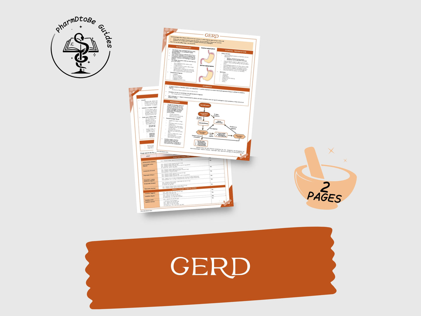 GERD Study Guide | Gastrointestinal | Pharmacy Study Guide | Digital Download