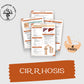 Cirrhosis Study Guide | Gastrointestinal | Pharmacy Study Guide | Digital Download