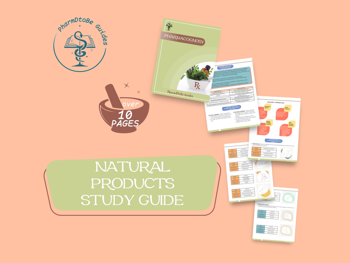 Natural Products Study Guide | Pharmacognosy | PharmD and PhD Study Guide | Digital Download