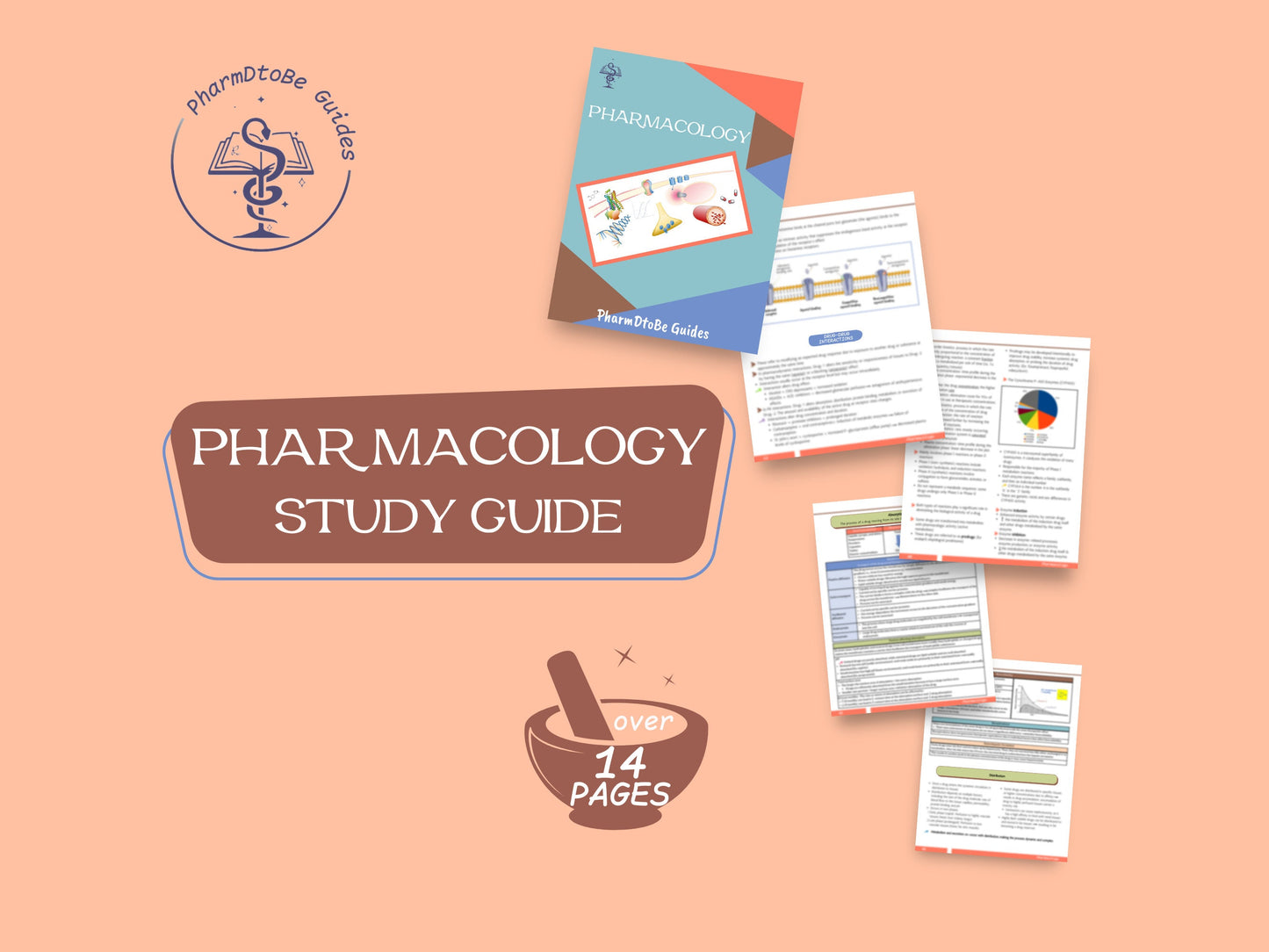 Pharmacology Made Easy - A Concise Study Guide for Pharmacy Students | Pharmacy Study Guide | Digital Download