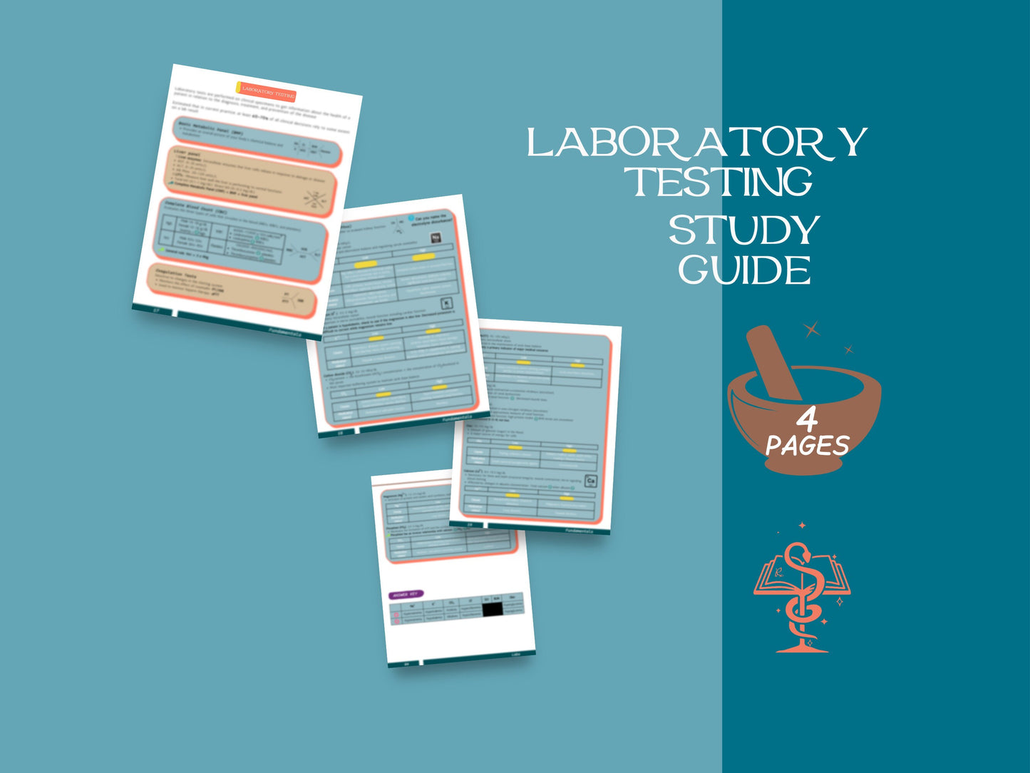 Laboratory Testing Study Guide | Pharmacy Study Guide | Digital Download