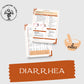 Diarrhea Study Guide | GI | Pharmacy Study Guide | Digital Download