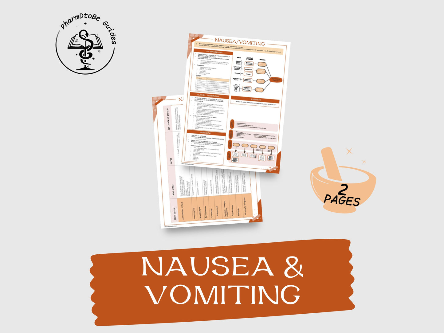 Nausea & Vomiting Study Guide | GI | Pharmacy Study Guide | Digital Download