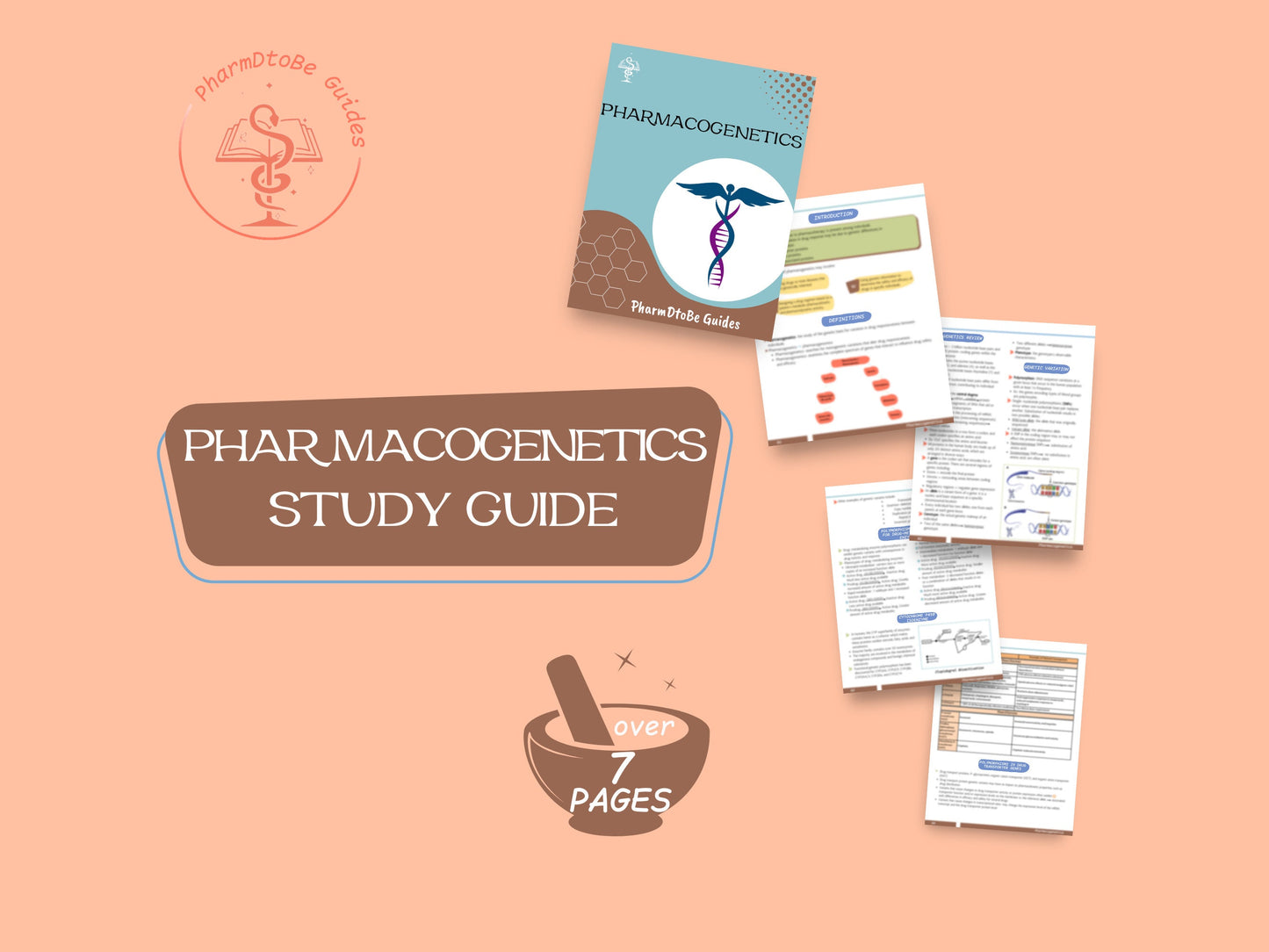 Pharmacogenetics Study Guide: A Pharmacy Student's Guide to Genomics and Personalized Medicine | Digital Download