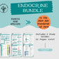 Endocrine Bundle | Endo |  Pharmacy Study Guide | Digital Download